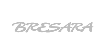 Bresara_Lion