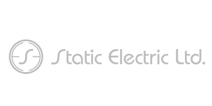 static_lion